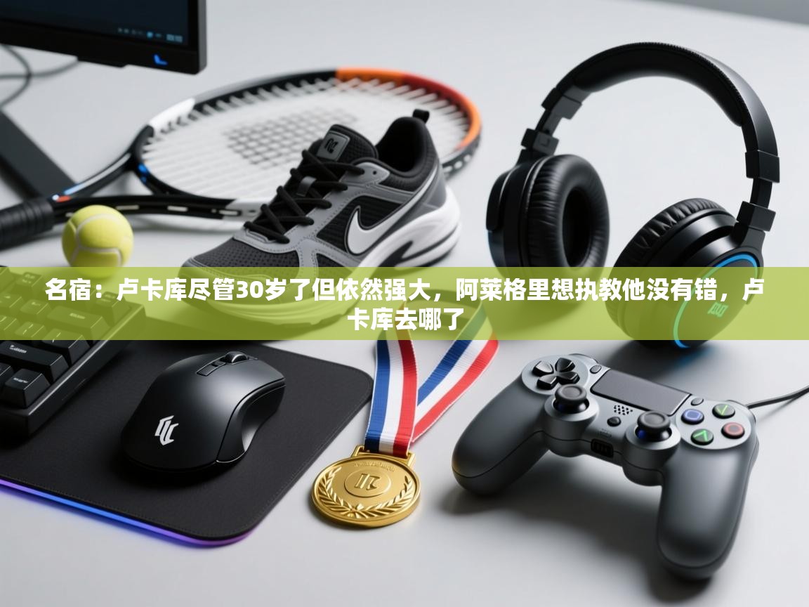 开云体育入口网址-名宿：卢卡库尽管30岁了但依然强大，阿莱格里想执教他没有错，卢卡库去哪了