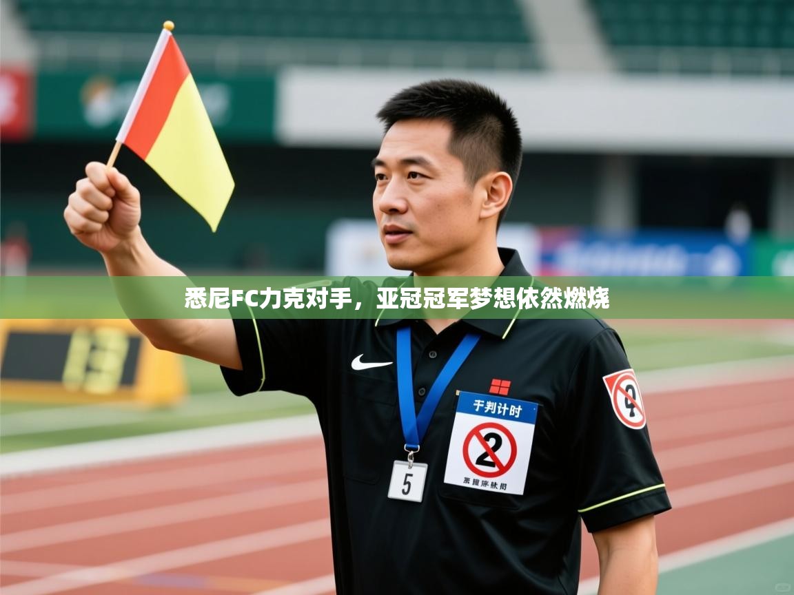 开云网页版-悉尼FC力克对手，亚冠冠军梦想依然燃烧  第2张