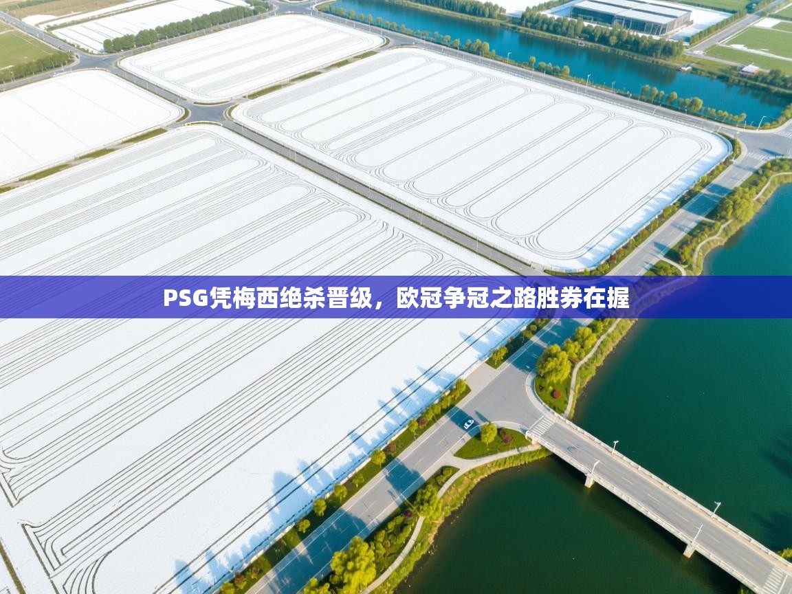 开云体育在线玩-PSG凭梅西绝杀晋级，欧冠争冠之路胜券在握  第3张