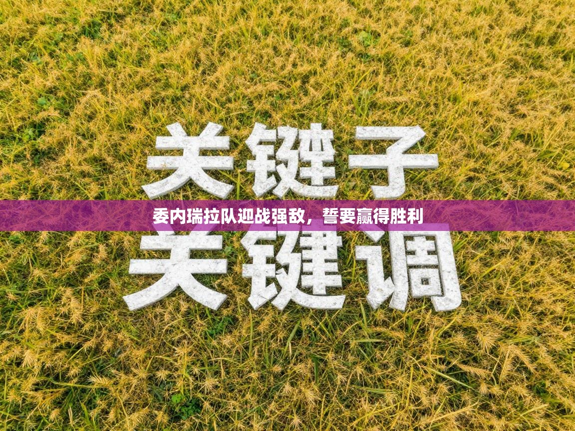 开云体育直播平台-委内瑞拉队迎战强敌，誓要赢得胜利  第3张